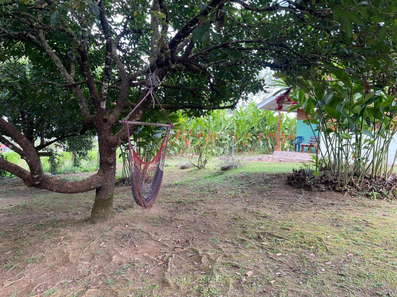 Cabana Rural Ave Del Paraiso La Fortuna Exterior foto