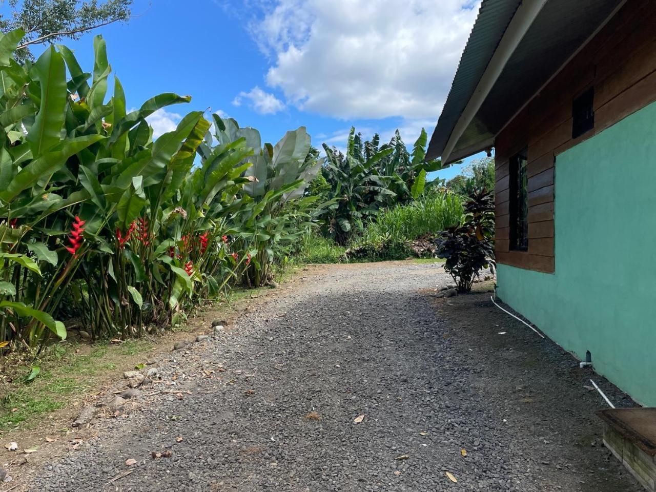 Cabana Rural Ave Del Paraiso La Fortuna Exterior foto